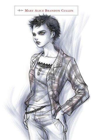 File:The-twilight-saga-the-official-illustrated-guide-gallery.jpg
