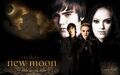 Thumbnail for version as of 12:49, November 23, 2010