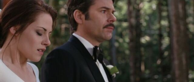 File:WEDDING.jpg