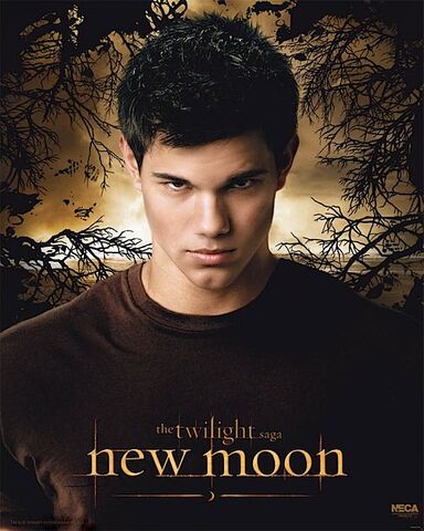 Datei:Jacob-black-poster-pic.jpg