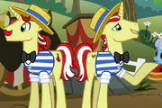 Flim Flam Brothers