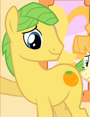 Uncle Orange