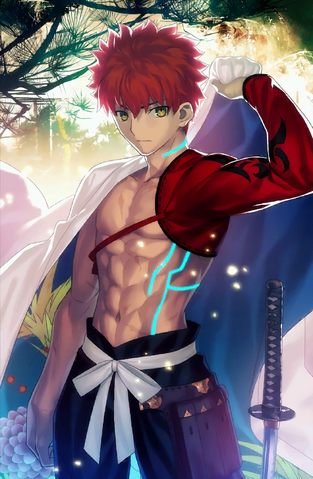 Archivo:Limited Zero Over FGO.png