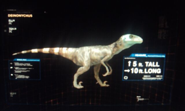 File:Deinonychus.jpg
