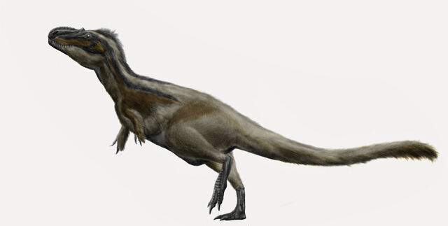 File:Daspletosaurus torosus by durbed-d5qrn58.jpg