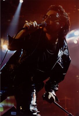 Bono498