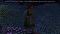 Thumbnail for version as of 12:57, October 22, 2010