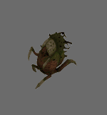 Cistopod anim.gif