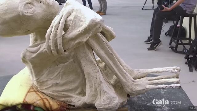 File:Nazca mummy.jpg