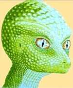 Lacerta