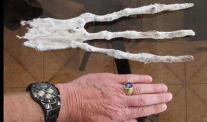 Alien-Hand-751183