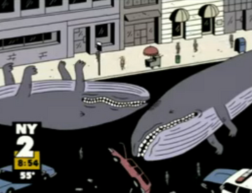 Land whales collision
