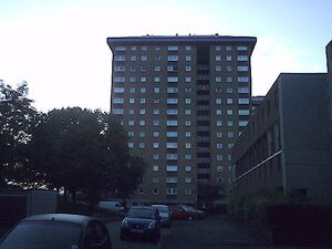 IMAG0011