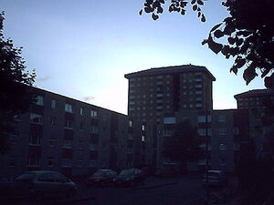 IMAG0010