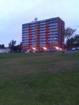 IMAG0232-1-