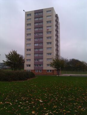 IMAG0243
