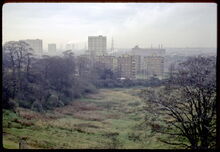 TameValley1968