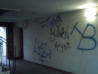 Picture 316