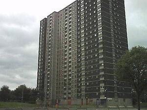 Picture377