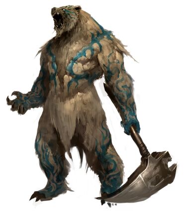 Bear