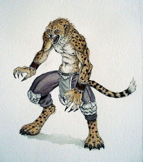 Cheeta