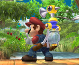Mario 070906a-l