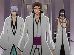 NewAizenGinTosenAnime
