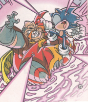 Sonic Endgame
