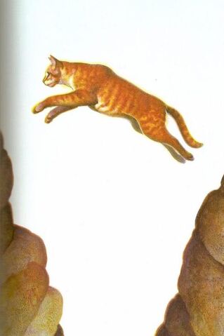 File:1squirrelflight.jpg
