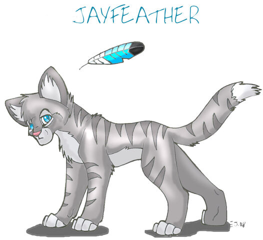 File:1jayfeather.jpg