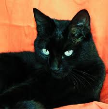 File:Nightstar.jpg