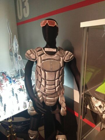 File:Heat Protection.jpeg