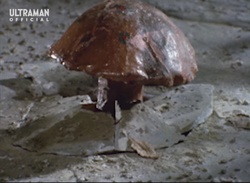 Huanted Mushroom small