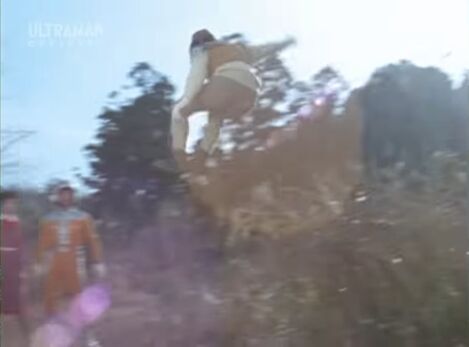 File:Galtans love jumping.jpg