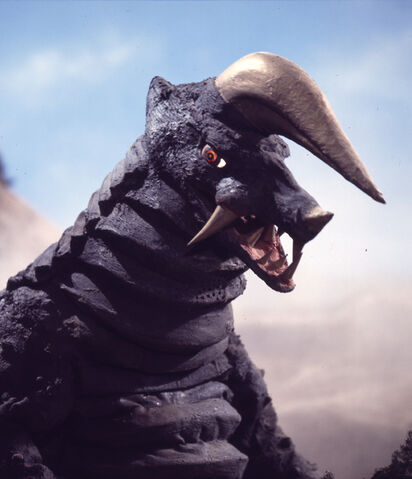 File:Black-King 1.jpg