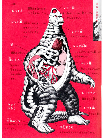 File:Red King Anatomy.jpeg