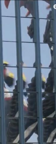 File:Tsurugi's back.jpg