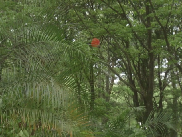 File:Pigmon Balloon Travel.png