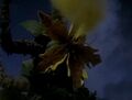 Thumbnail for version as of 14:38, February 11, 2012
