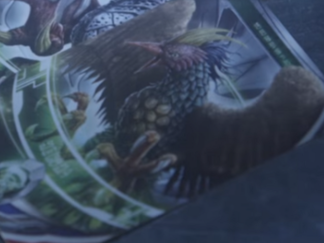 File:Litra Card.png
