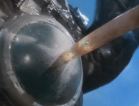 File:Bullseye.png