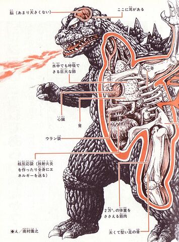 File:Godzilla anatomy.jpg