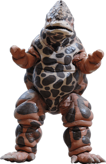 Frogos info
