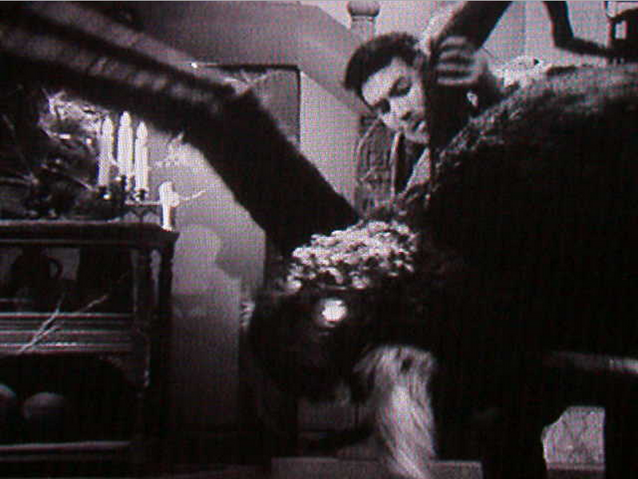 File:Tarantula vs.png