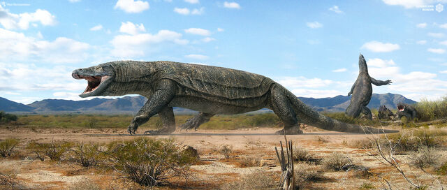 File:Megalania .jpg