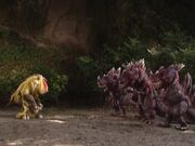 Bamos vs. Rock Eaters