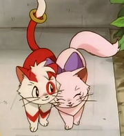 Momo & Nyan