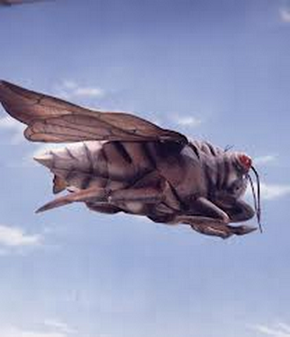 File:King Zemira Cicada.png