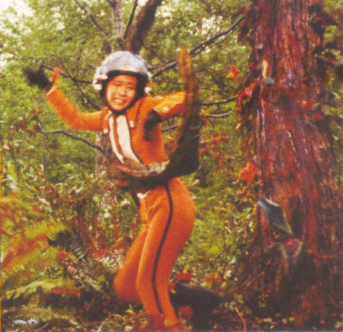 File:Akiko Fuji v Sunflan.png