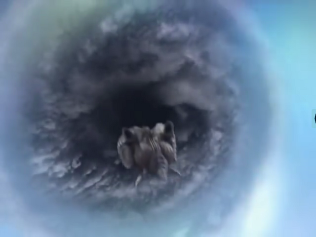 File:MEGAFLASH LEVI..png
